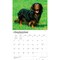 BrownTrout; For the Love of Dachshunds | 2027 14 x 24 Inch (Hanging) Monthly Deluxe Wall Calendar | Foil Stamped Cover | Plastic-Free; Category:Wall Calendars; Image:5